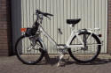 Solex 3800, bouwjaar 1986